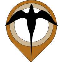 Oil Bird Oracle