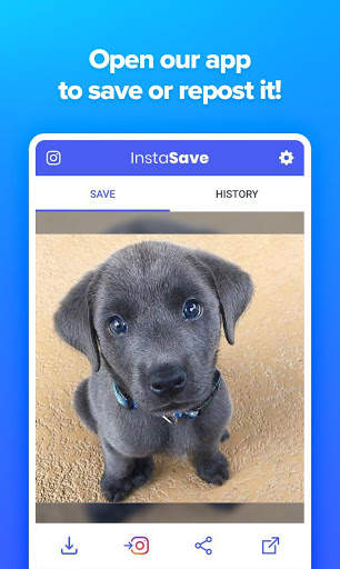 InstaSave - The Best Instagram Downloader screenshot 2