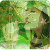 Pakistan Flag decorater 2019 Edioter 1.06