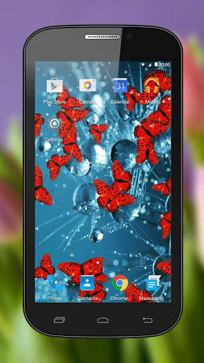 Butterfly Wallpaper screenshot 3