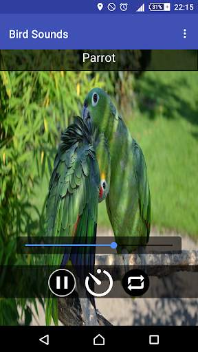 Relax & Sleep with Bird Sounds screenshot 3