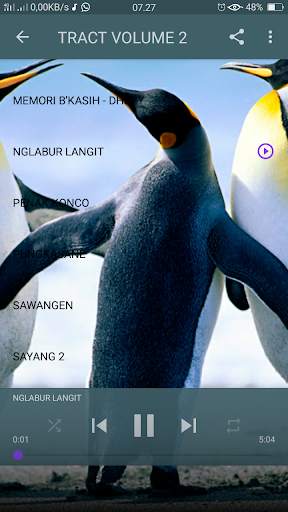 Dhevy Geranium Reggae Cover - Offline screenshot 8