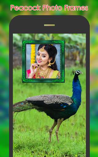 Peacock Photo Frames screenshot 4