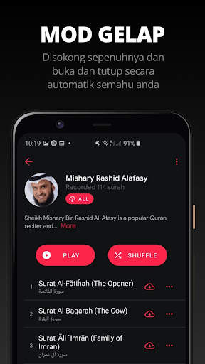Quran Pro - Qur'an screenshot 4