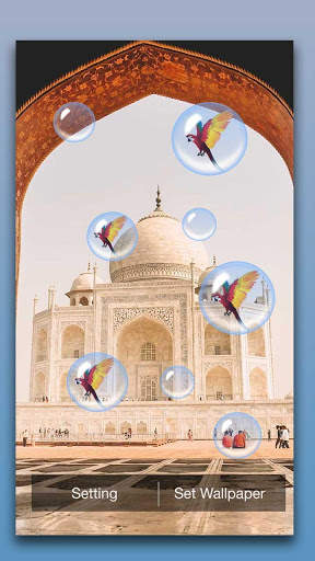 Taj Mahal Live Wallpaper screenshot 2