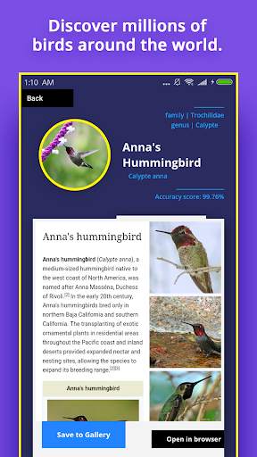Bird Identifier screenshot 2