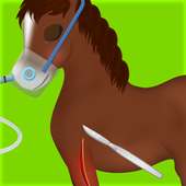 Horse Surgery Game logo