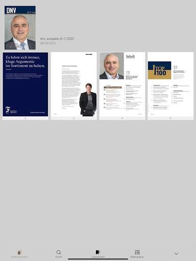 dnv screenshot 4