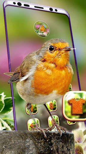 Bird Launcher Theme screenshot 4