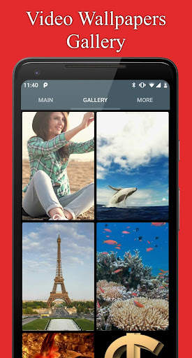 Any Video Live Wallpaper – Video Wallpaper Maker screenshot 1