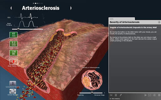 bodyxq heart screenshot 3