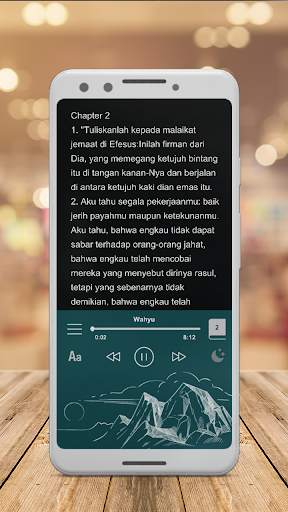 Alkitab indonesia inggris screenshot 7