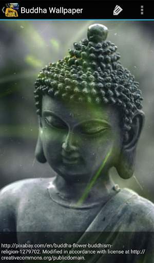 Buddha Wallpaper screenshot 8