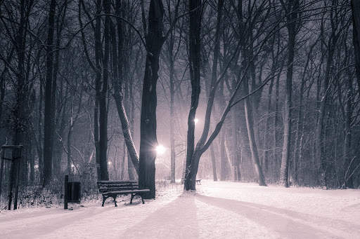 Winter Wallpapers | hd backgrounds screenshot 11