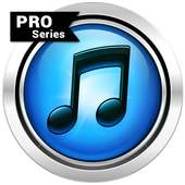 Simple Music Downloader 1.1