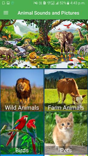 Animal Sounds Pictures screenshot 1