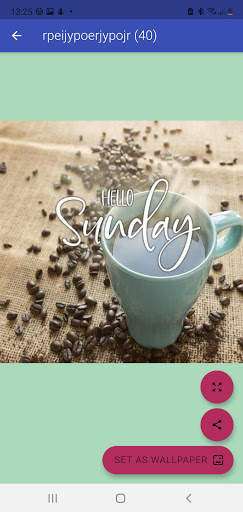 Happy Sunday screenshot 4