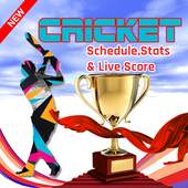 Live Cricket Score - Cricket Live Line 1.1