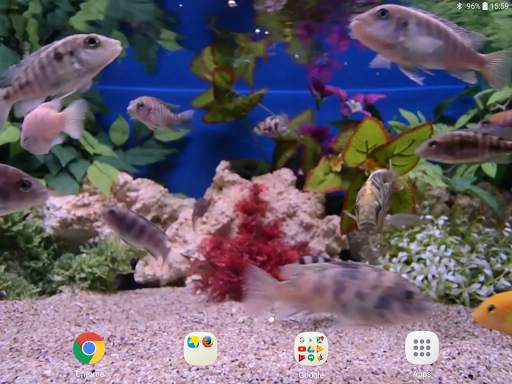 Aquarium Video Wallpaper screenshot 10