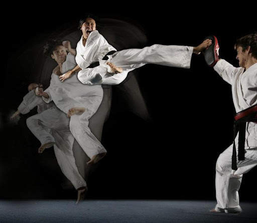 Learn Martial Arts screenshot 6