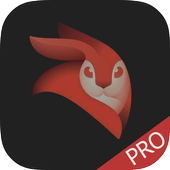 videoleap pro icon