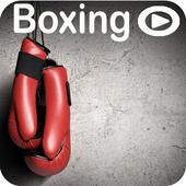 Boxing Learning And Training App Videos icon