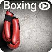 Boxing Learning And Training App Videos 1.0