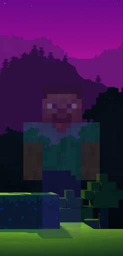 invisible Minecraft Skin screenshot 1