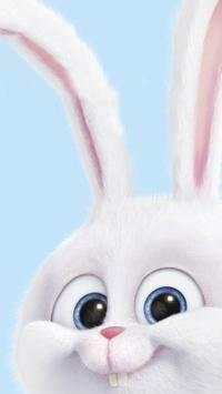 Easter Bunny Wallpapers screenshot 4