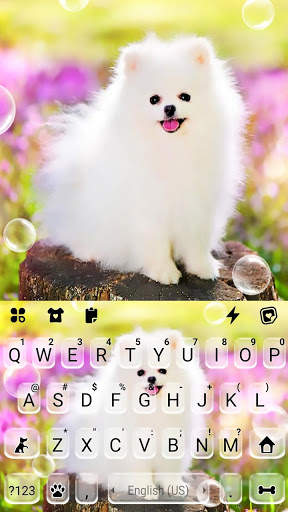 Cute White Dog कीबोर्ड पृष्ठभूमि स्क्रीनशॉट 5