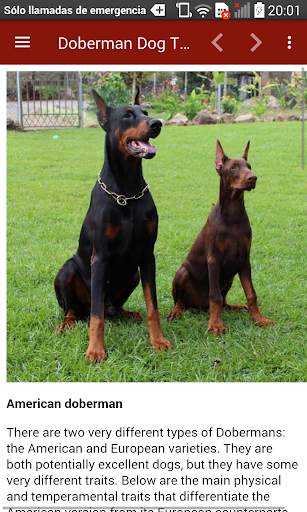 Doberman Dog Training screenshot 13
