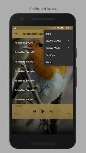 Robin Bird Sounds screenshot 4