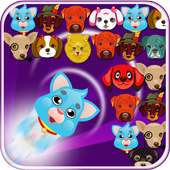 Dogs Bubble Story