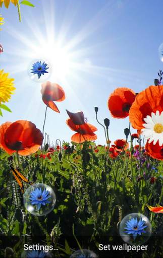 Spring Live Wallpaper screenshot 5