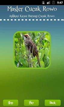 Straw-headed Bulbul screenshot 2