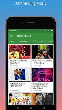 Naija Music screenshot 7