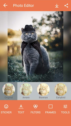 Pet Photo Editor screenshot 4