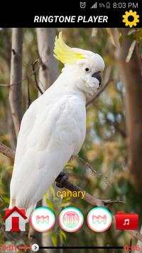 80 Birds Sounds and ringtone screenshot 2