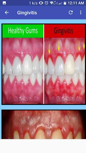 Dentistry Guide screenshot 3