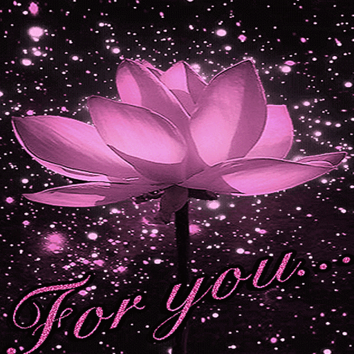 Lotus For You LWP आइकन