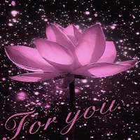 Lotus For You LWP on 9Apps