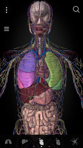 Anatomyka - 3D Anatomy Atlas screenshot 3