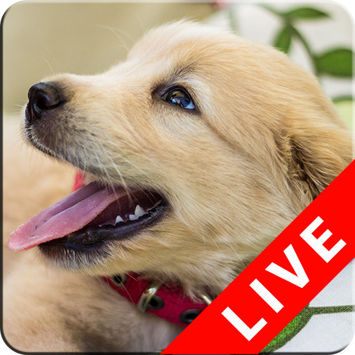 Puppy Live Wallpapers icon