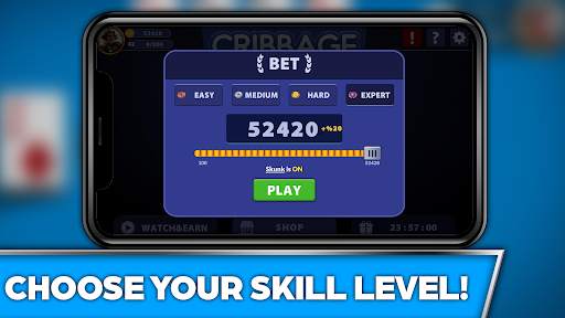 Cribbage Offline Card Game screenshot 4