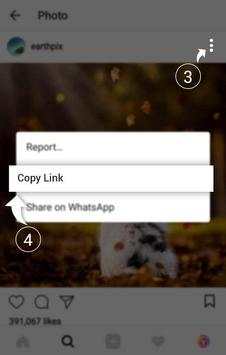 Inst Downloader screenshot 2