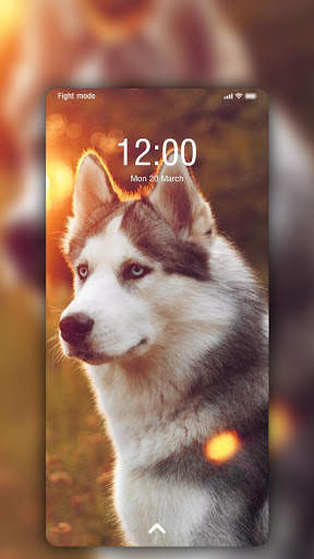 Husky Wallpaper screenshot 7