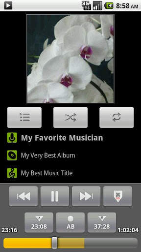 AB Repeat Player screenshot 3