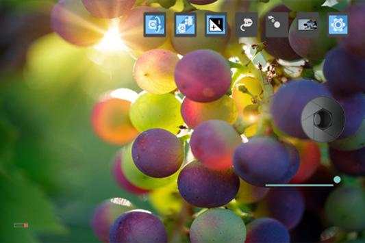 Camera DSLR for Sony screenshot 2