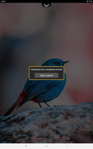 Puzzle Pic - Animal Edition screenshot 10
