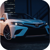 Racing in Race 2018 icon